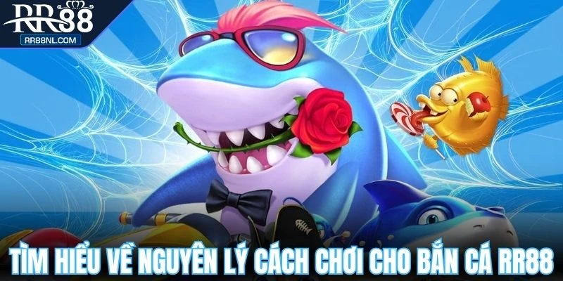 Tìm hiểu về nguyên lý cách chơi cho bắn cá RR88