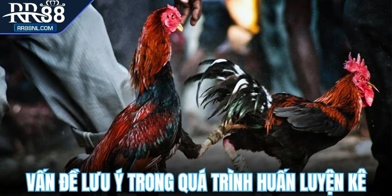 Vấn đề lưu ý trong quá trình huấn luyện kê